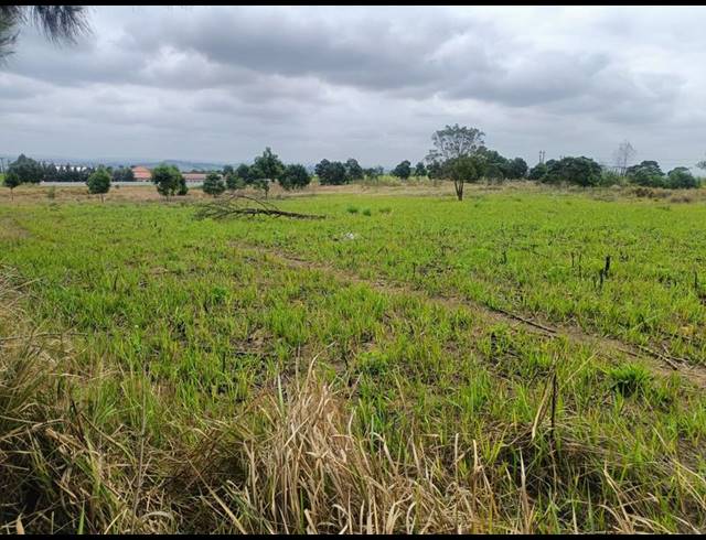 LAND FOR SALE IN BALLITO RURAL